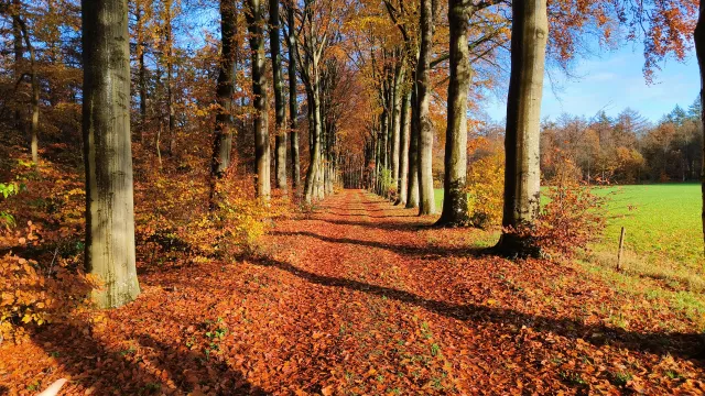 Afbeelding bij Voorjaar!