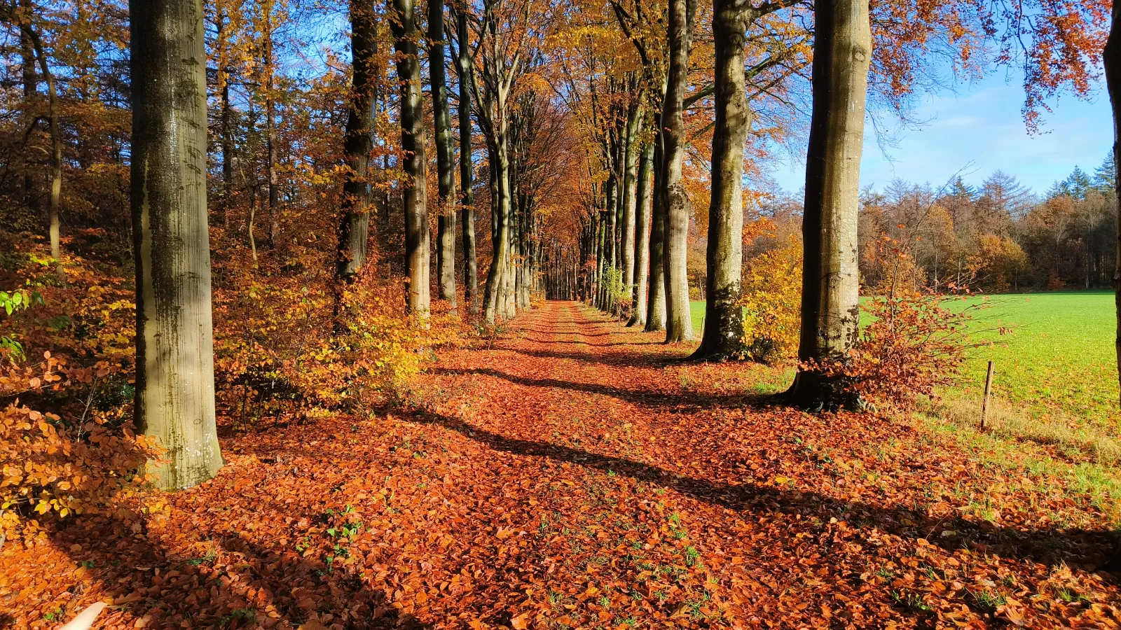 Afbeelding bij Voorjaar!